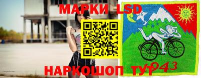 ешки Дубна
