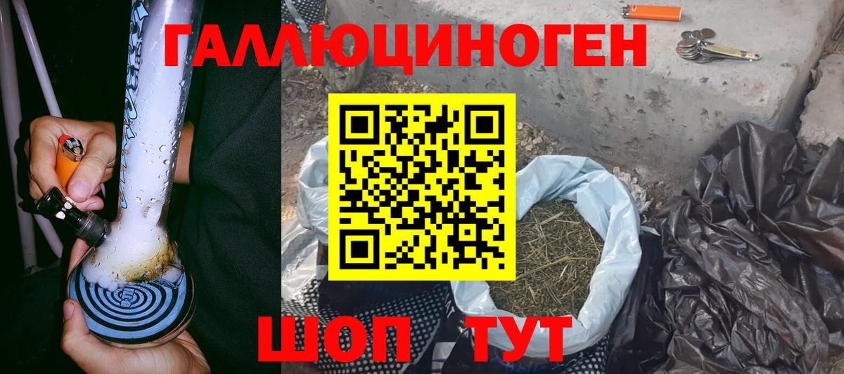 Можга  Галлюциногенные грибы Psilocybine cubensis  купить   Вход с VPN 