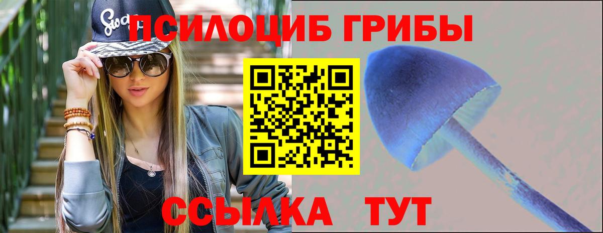 Галлюциногенные грибы Magic Shrooms Можга