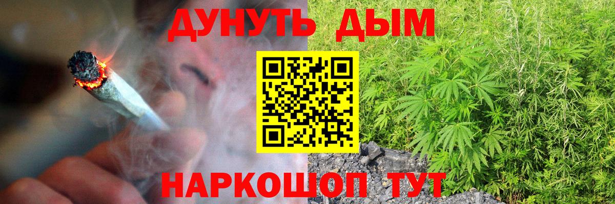 Каннабис планчик Можга